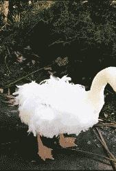 搞笑时刻心情变好,搞笑时刻大家开心就好