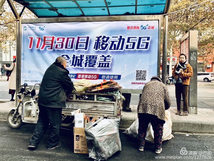 涧西牡丹广场老照片,洛阳牡丹手机拍照