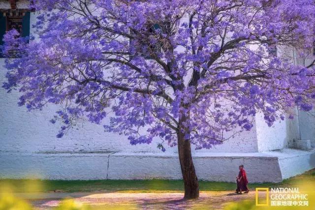 最幸福国家不丹,不丹最幸福的国家