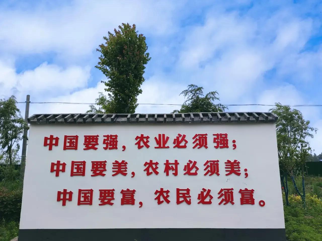 曹县魏湾镇各村姓氏分布,曹县魏湾地名