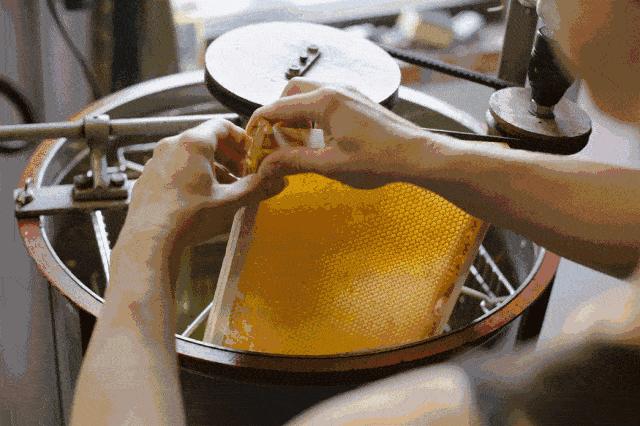 如何辨别真蜂蜜假蜂蜜,蜂蜜如何辨别真蜂蜜和假蜂蜜