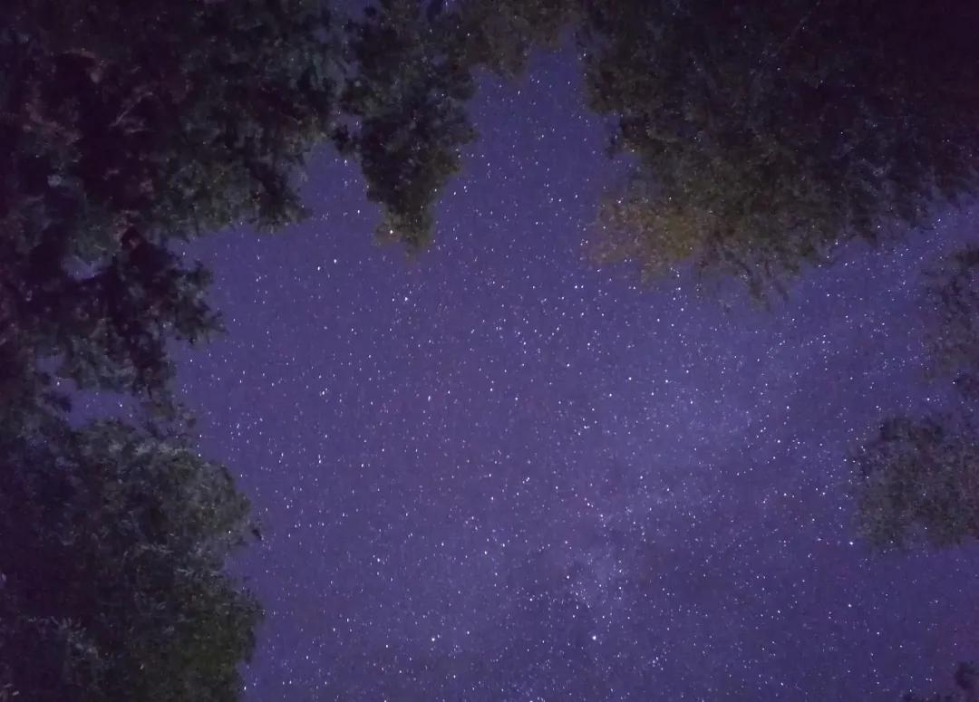 安徽春天美丽的视频,安徽美丽的春天