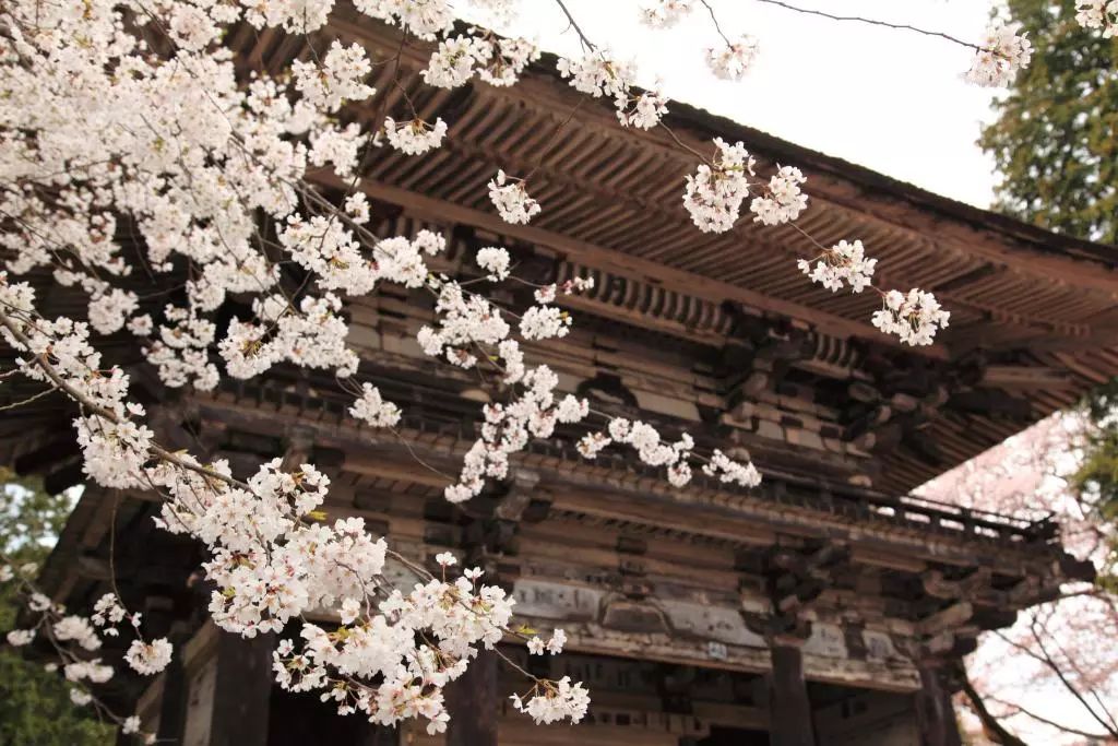 【行乐47】凭什么，它能是日本人的生命之湖？