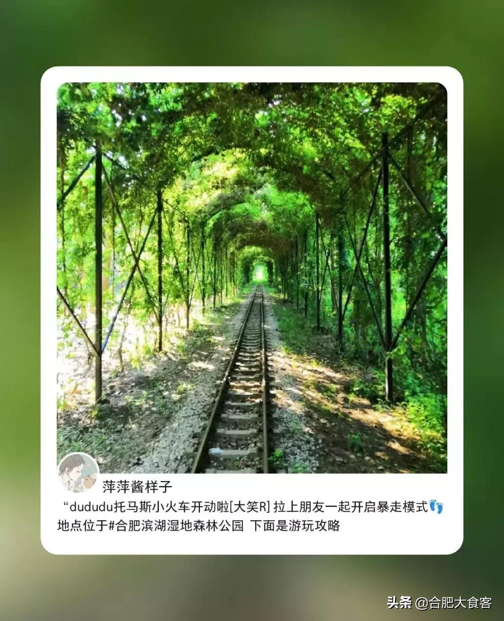 合肥有什么好玩的地方适合小朋友,春节合肥周边好玩的地方一日游