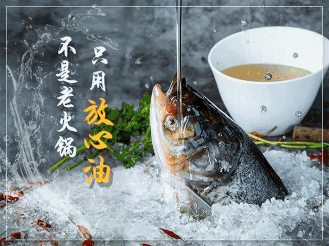 明星打卡火锅前十名,明星打卡过的老餐饮店