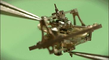 5000左右陀飞轮腕表,瑞士陀飞轮腕表价格正品