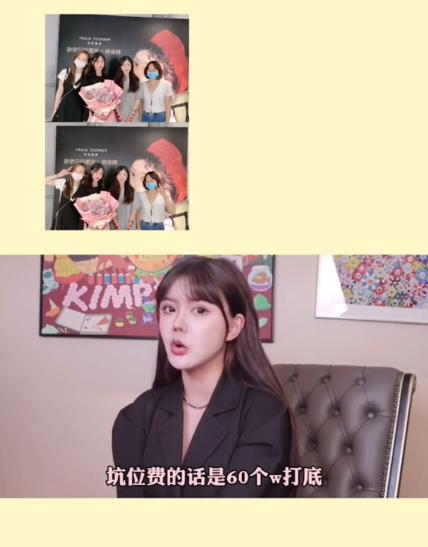 韩安冉自曝一年赚多少钱,韩安冉自曝每个月收入多少