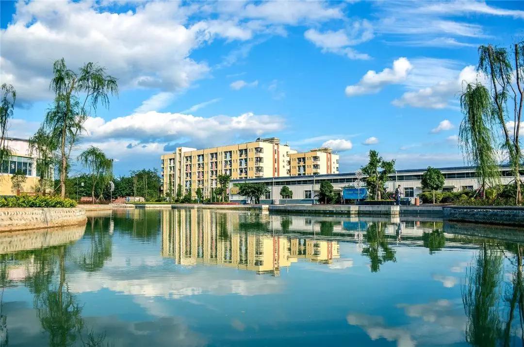 四川高职单招容易上的公办大专,四川高职单招资料推荐