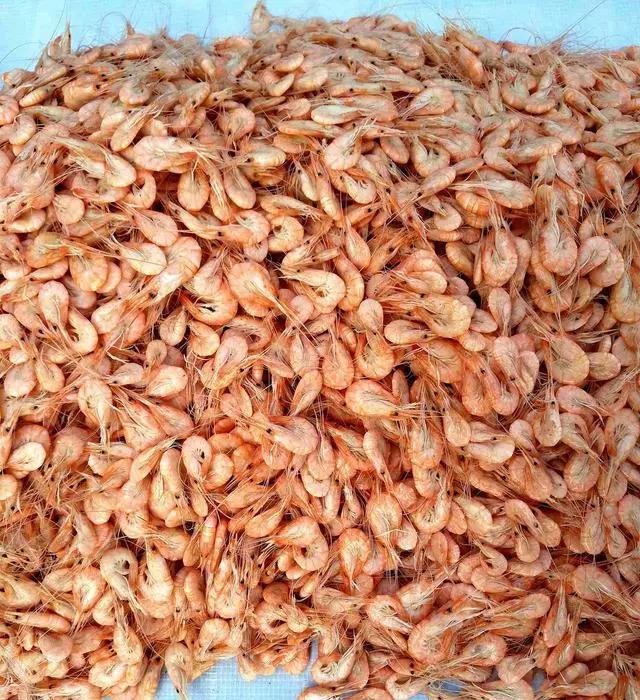 开海特价海鲜,开海的海鲜视频