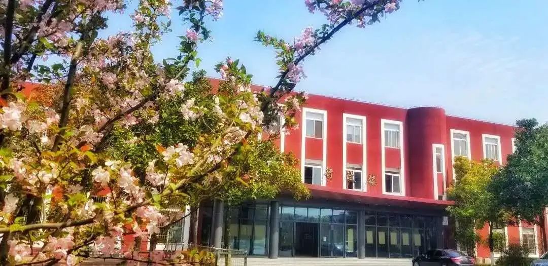 苏州托普“拍了拍”你：冲吧，乘风破浪的毕业生