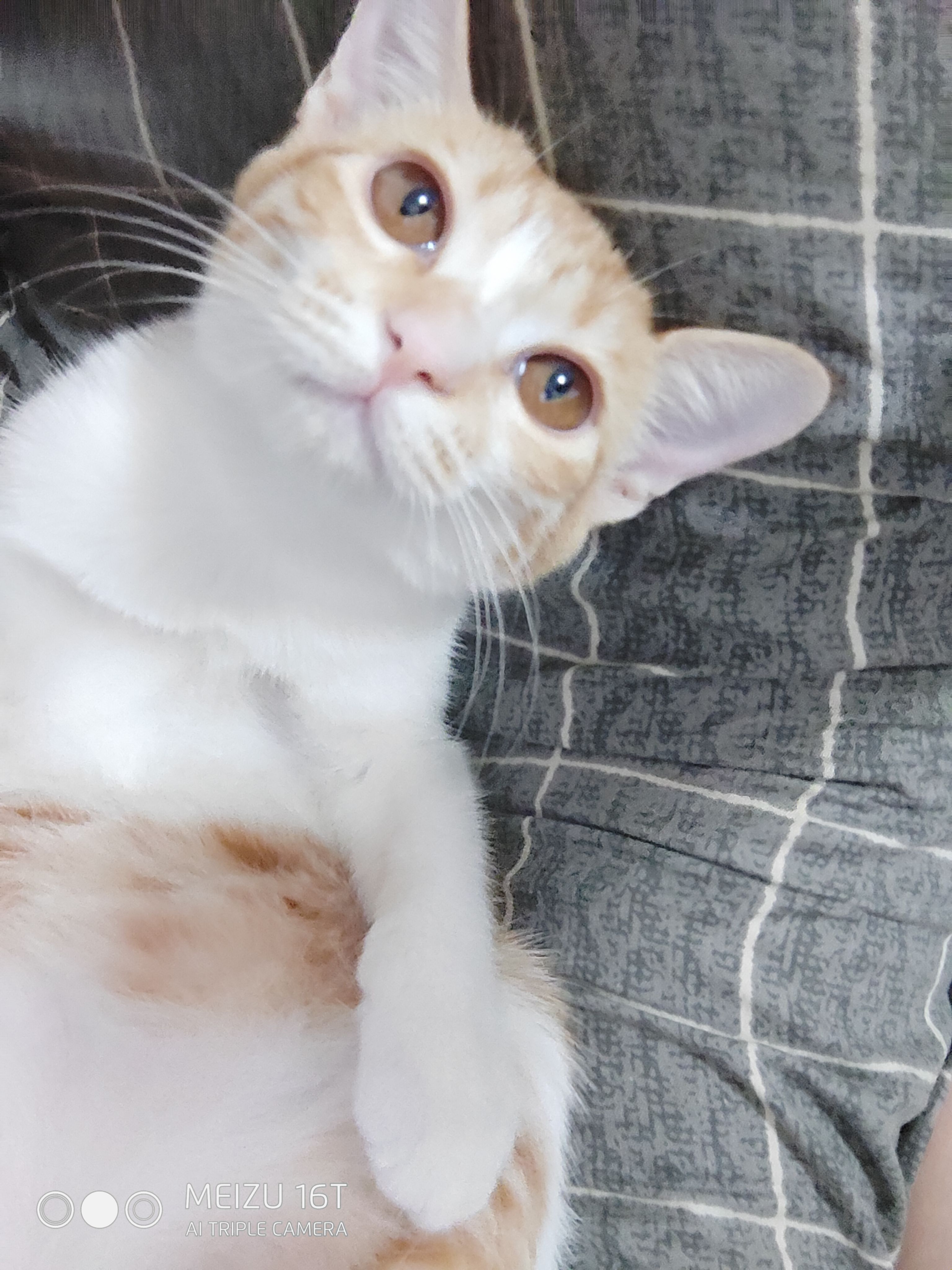 魅族16t全面详细评测缺点,魅族16t测评详细