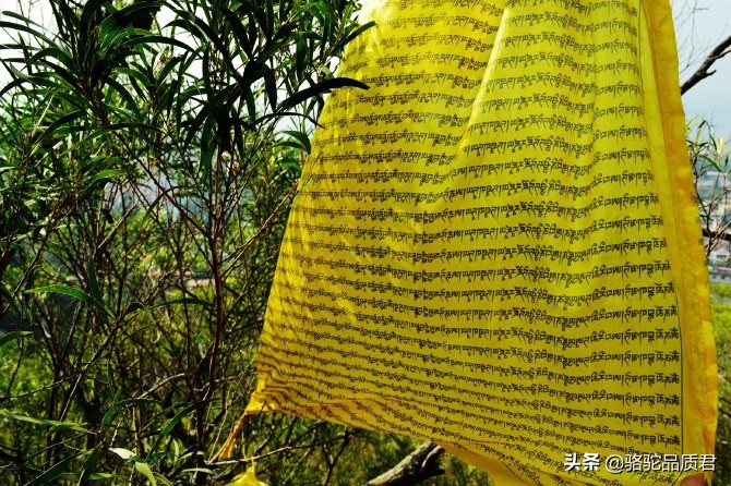 厦门海边之旅,厦门小众旅游体验