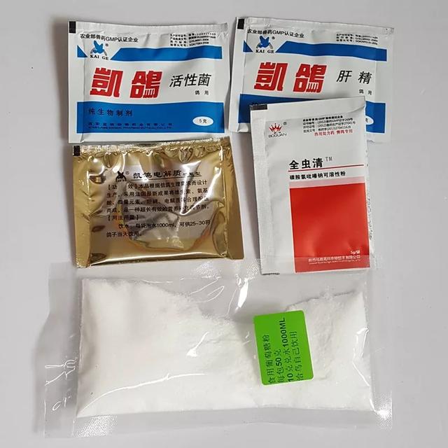 鹦鹉新手饲养注意事项,新手饲养鹦鹉的技巧和注意事项