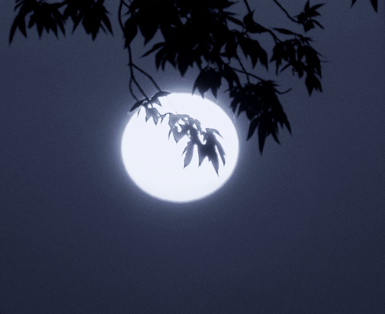 郭沫若的现代诗静夜思,郭沫若现代诗短诗10首