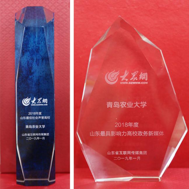 青岛加速度,青岛农业大学的最新进展和消息