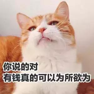 混留学圈？代购狗？颓废二代？在澳留学的你是哪一类？