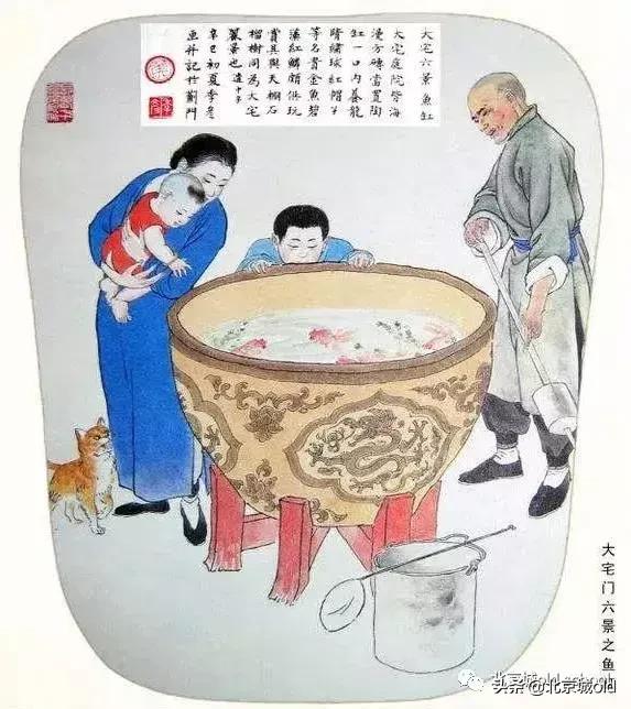 老北京养金鱼的讲究,老北京瓦盆养金鱼