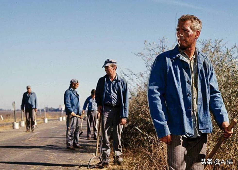 公认世界上好看的100部电影,全球近十年最好的电影