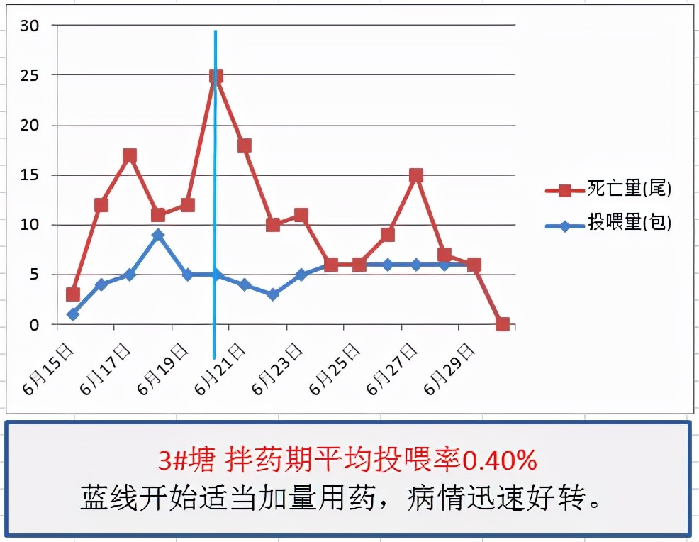 鱼得了肠炎还能活多久,生鱼烂身治疗