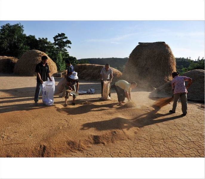 天下第一黄土高原,天下第一黄土高原是哪里
