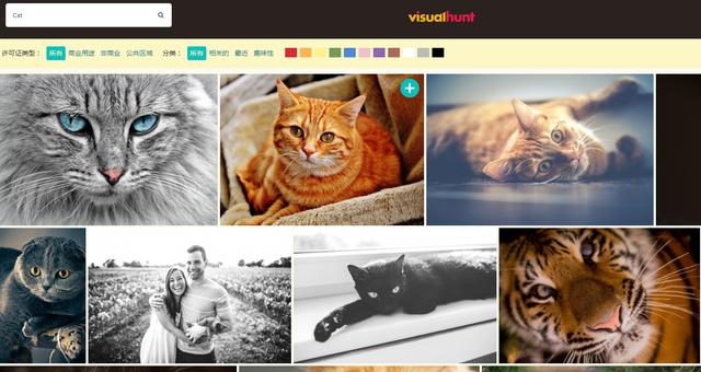 教师必备的七个网站有哪些,教师必须知道的十大网站