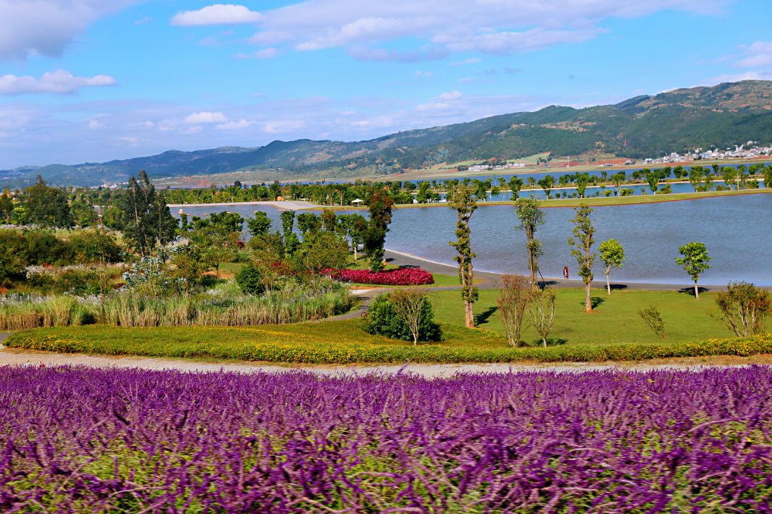 弥勒太平湖森林木屋酒店团购直播,弥勒太平湖森林木屋酒店有温泉