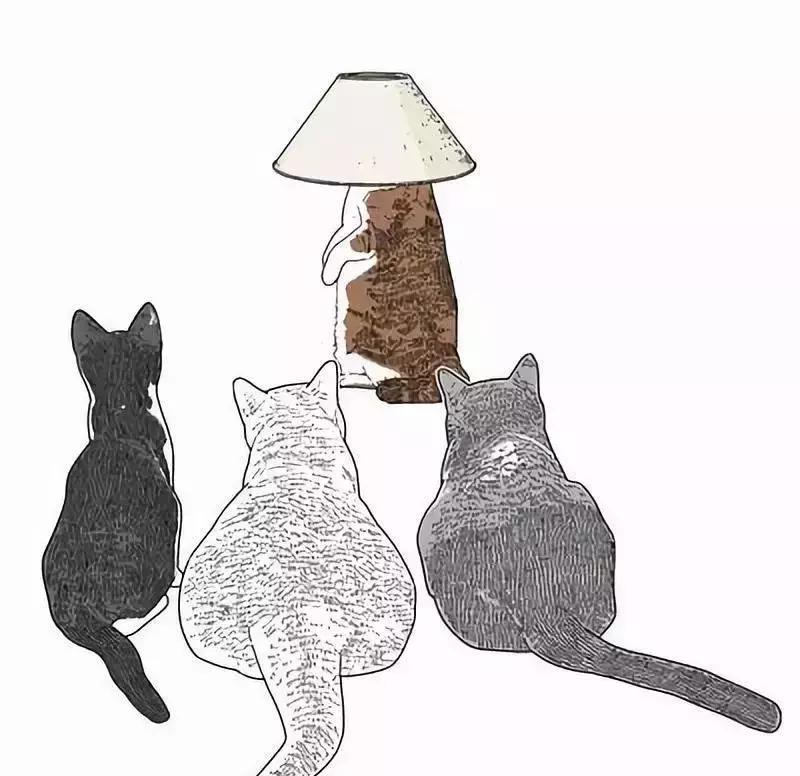 解析女性的各种*梦春**——是否有一种你做过？