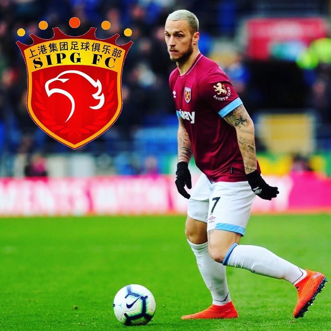 伊布上海上港,上港队医关注阿瑙托维奇