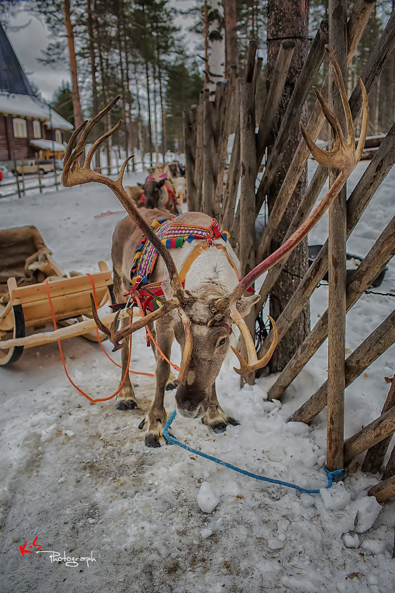 果小姐的日常,果小姐的慢生活