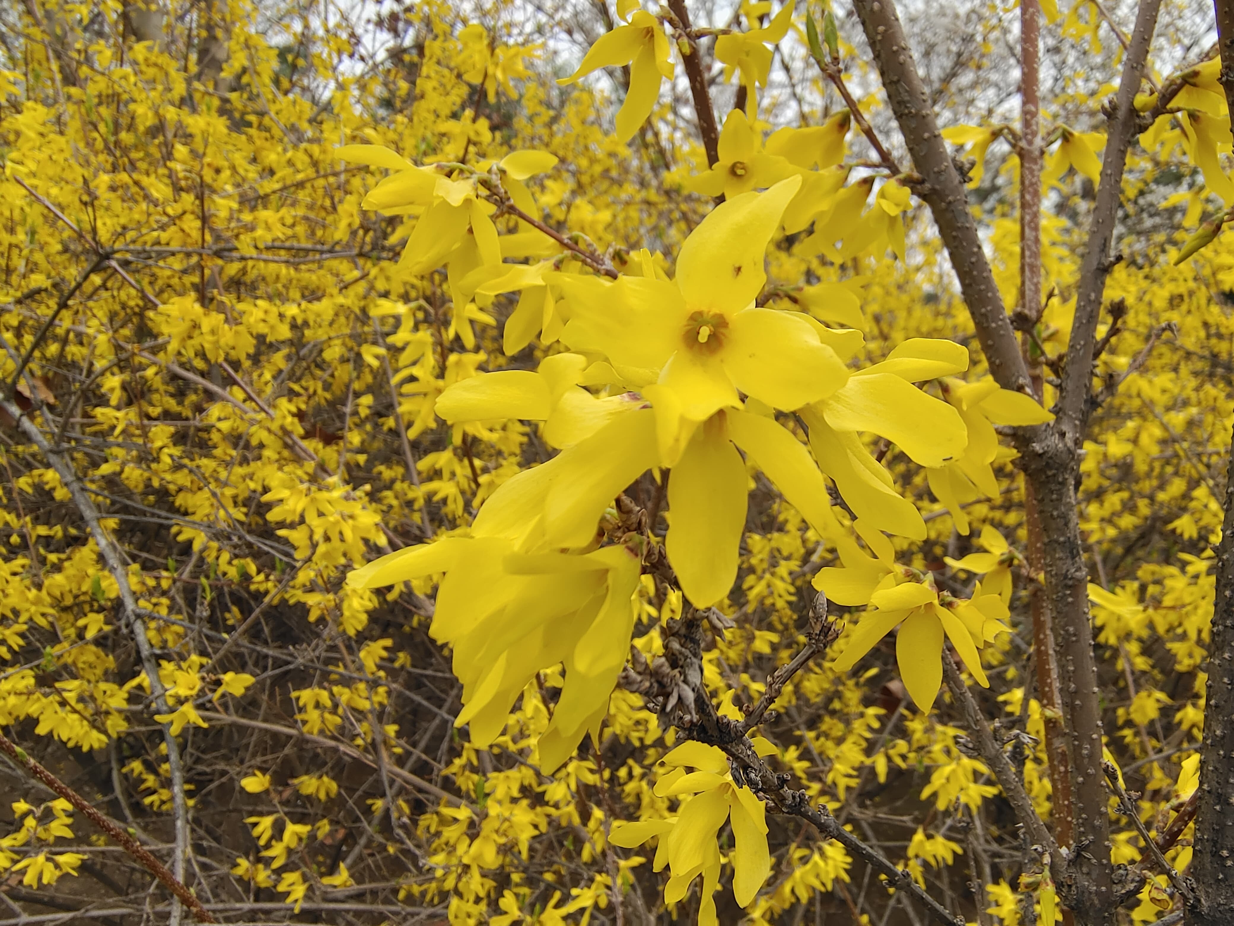 iqooneo5评测,iqooneo5好物推荐