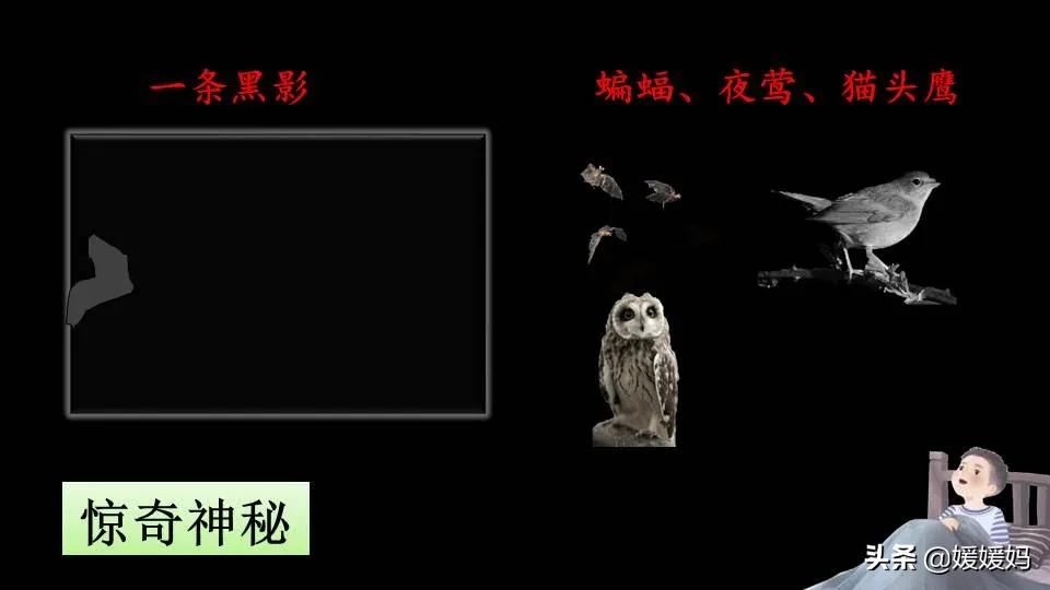 四年级语文下册第三课天窗知识点,四年级下册语文第三课天窗课后题