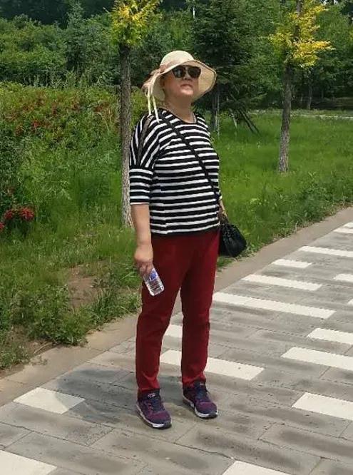 美丽迎春花开了,迎春花盛开的绝美春日盛景