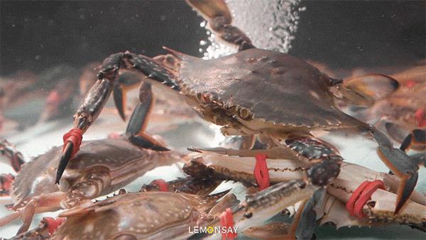 300°C石头锅，天黑才能吃