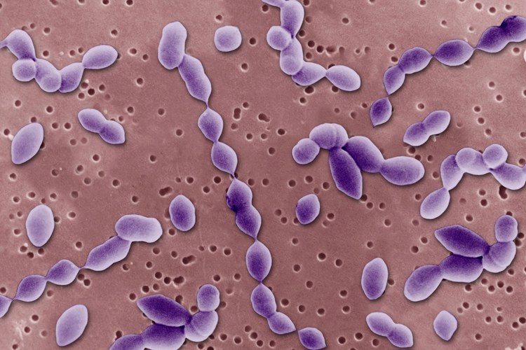 它是儿童“头号杀手”，家长切勿自己治疗，“拖累”孩子