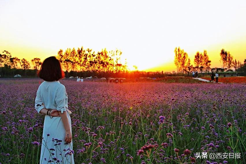 西安公园开放通知最新,西安附近公园免费景点