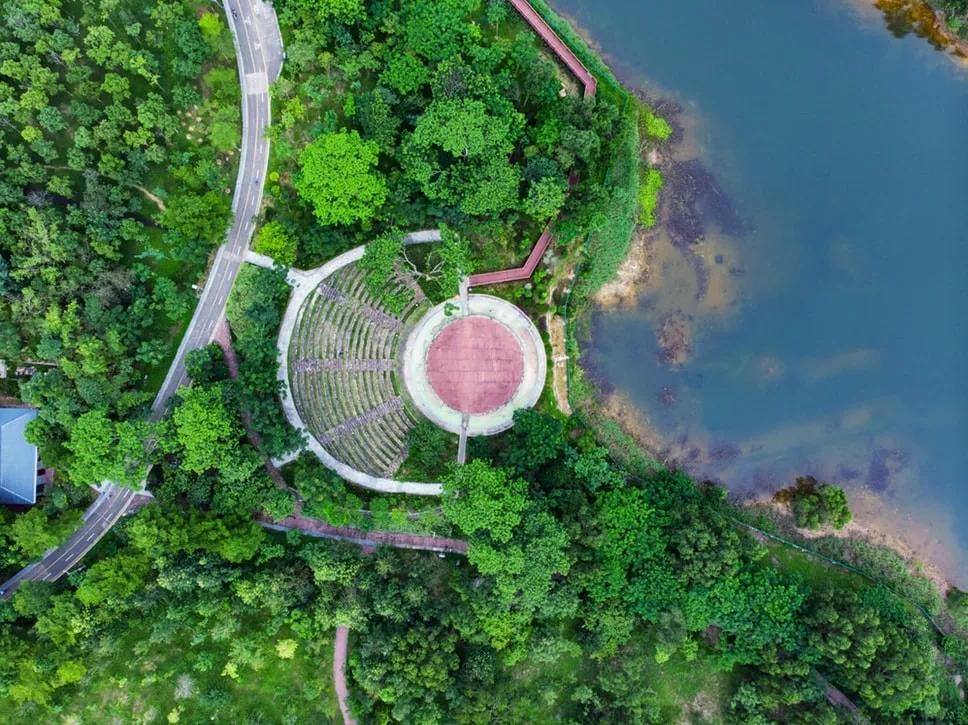 来了就是深圳人原版视频,来了就是深圳人完整版