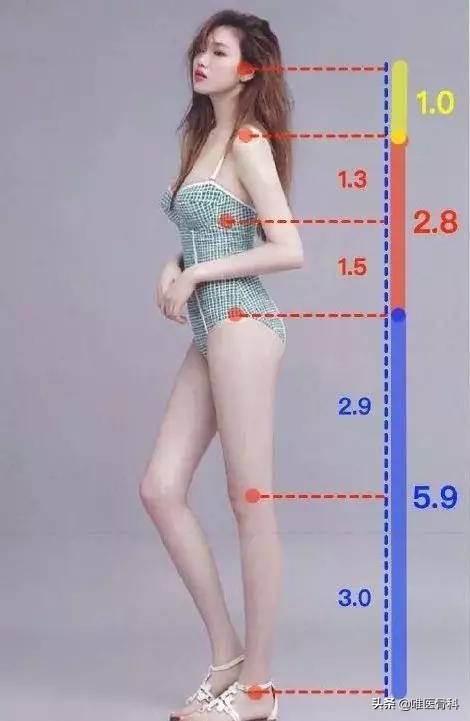 怎样练成逆天大长腿,怎样从小短腿练成大长腿