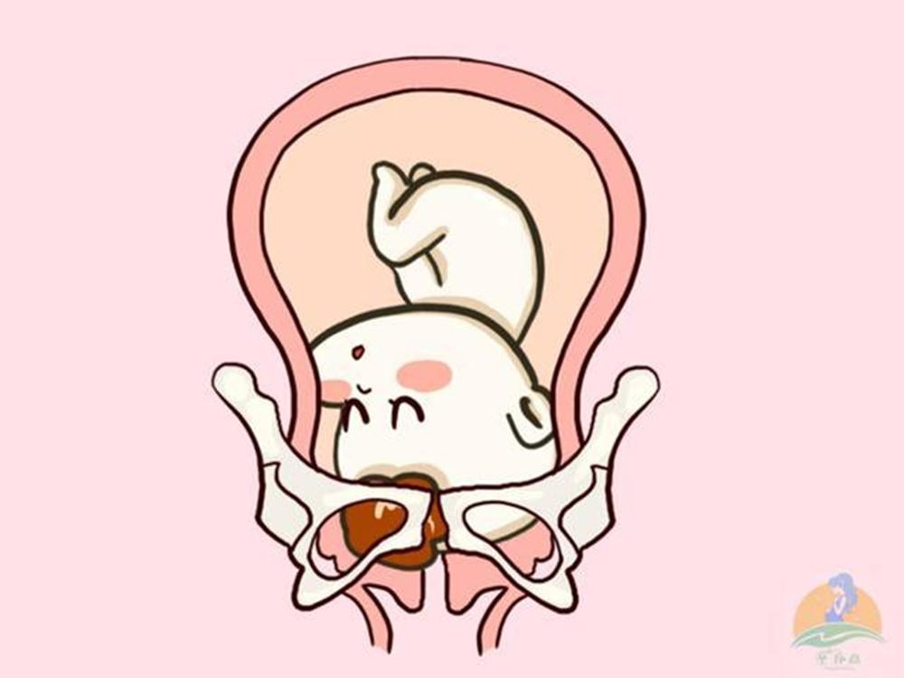 胎位不正的原因和注意事项,胎位不正最佳调整方法