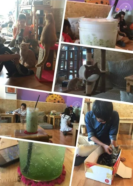 泰国清迈拜县旅游攻略,清迈拜县七日游