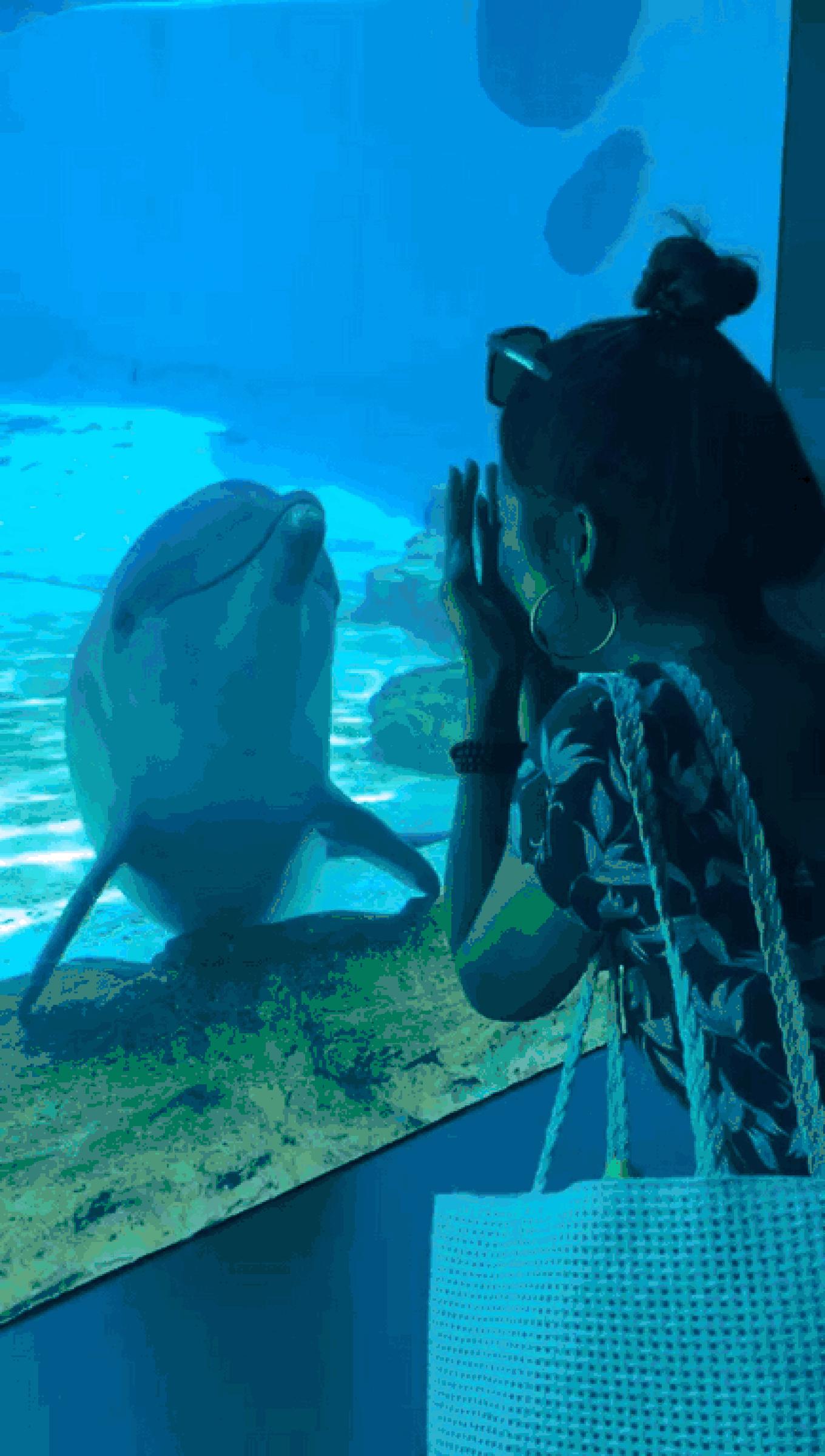 圣淘沙名胜世界攻略,请收下这份旅游攻略