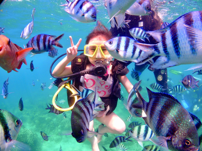 越南芽庄旅游攻略模板,芽庄出海一日游