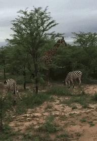 今天过来按脚,恰巧碰见了前女友,我该怎么化解尴尬呢?哈哈哈