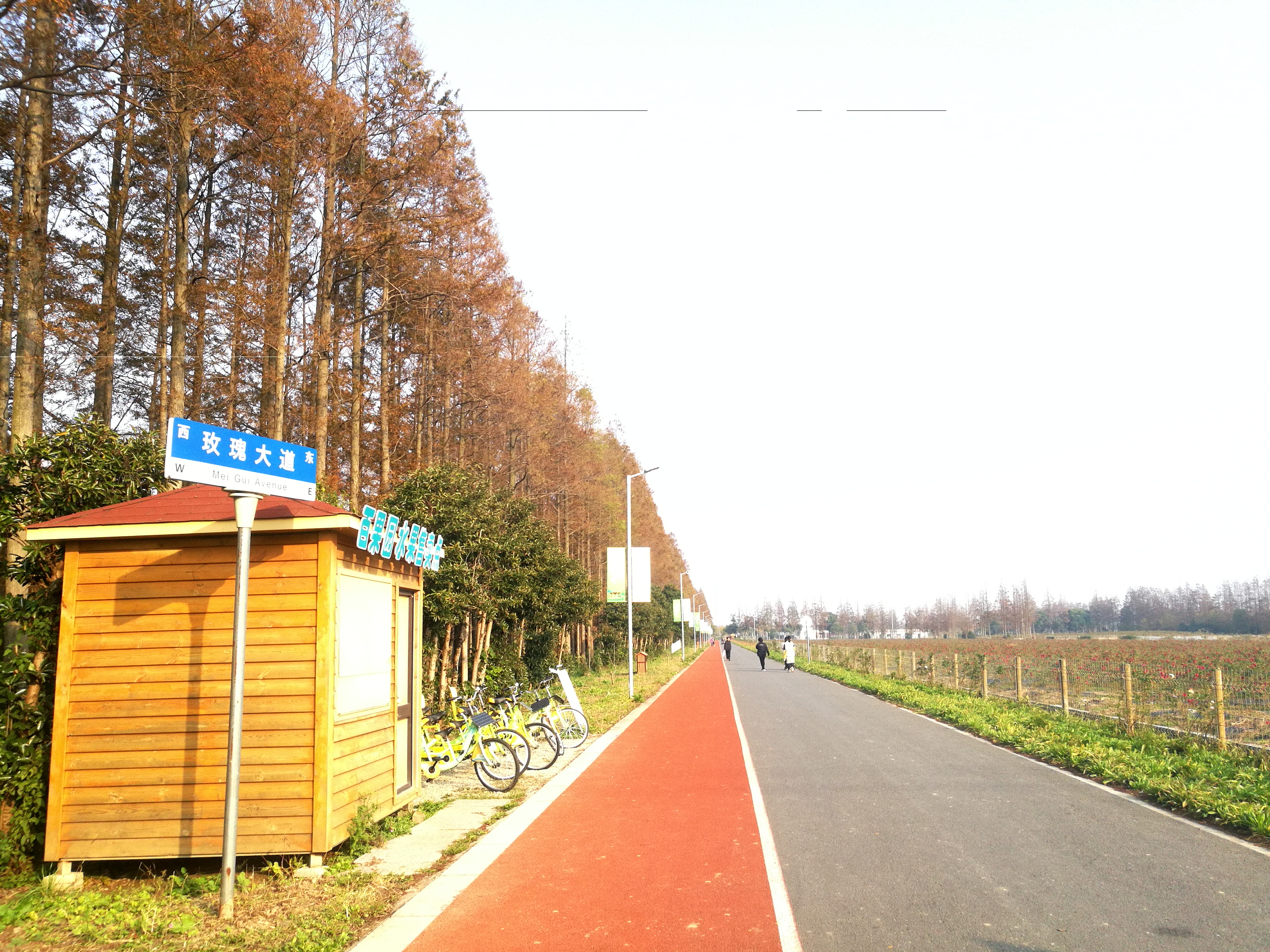 上海崇明岛郊野公园扩建工作,崇明长兴岛公园规划