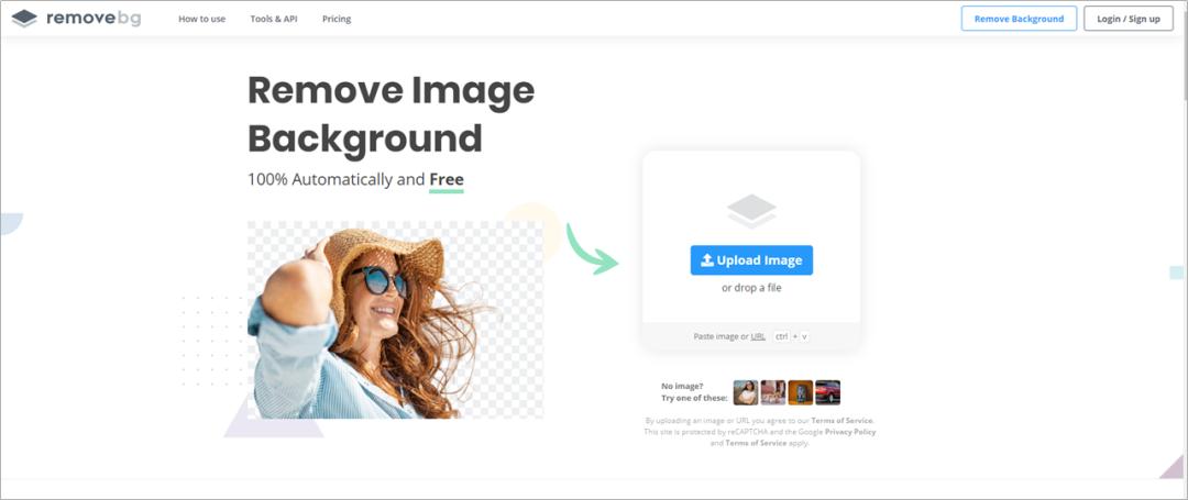 团队介绍ppt模板,ppt团队介绍怎么布局