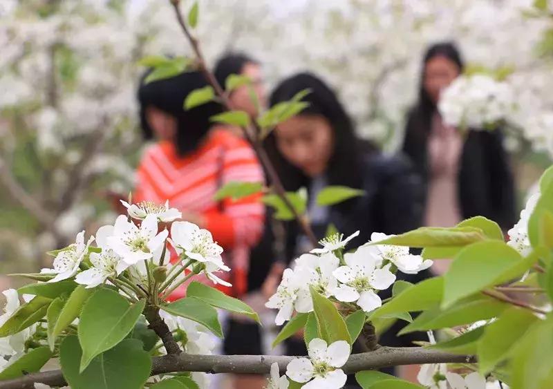 渭南这些年的变化,2021年的那些感动人的瞬间