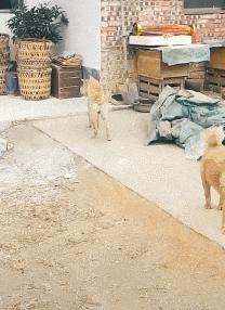 谁这么缺德原版,谁这么缺德原版视频