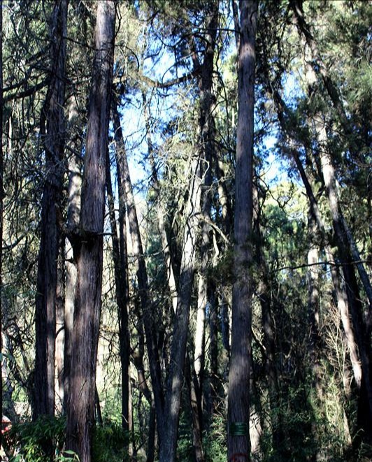 昆明水源地风景区,昆明最好的水源地