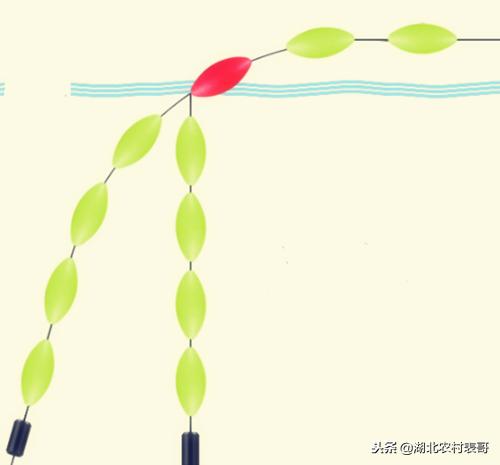 野钓七星漂调漂最佳方法,野钓七星漂怎么快速找底调漂