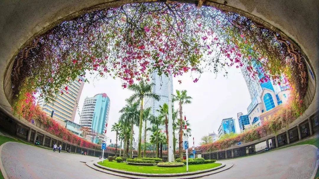 红星影院、英聚酒楼、水上关帝庙......佛山地标你还记得几个？