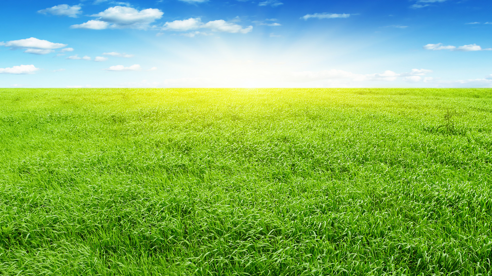 最美的护眼桌面壁纸,超清晰2340x1080曲面屏护眼壁纸